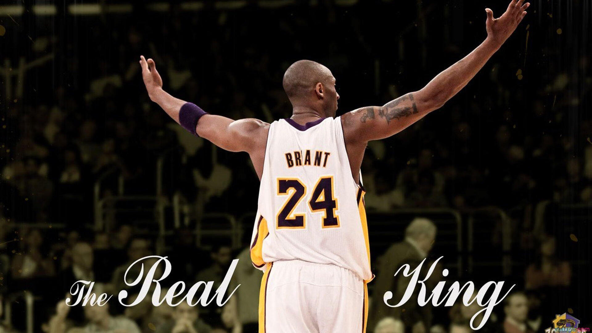 开云电竞服务-澳网:澳大利亚猛将再夺单打冠军!,澳大利亚网球比赛直播