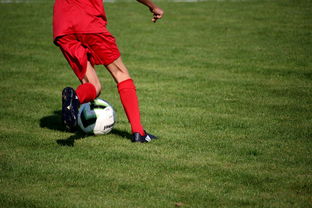 开云全站下载-意甲裁判语义辅助判罚系统提升比赛公平性研究，意甲裁判组